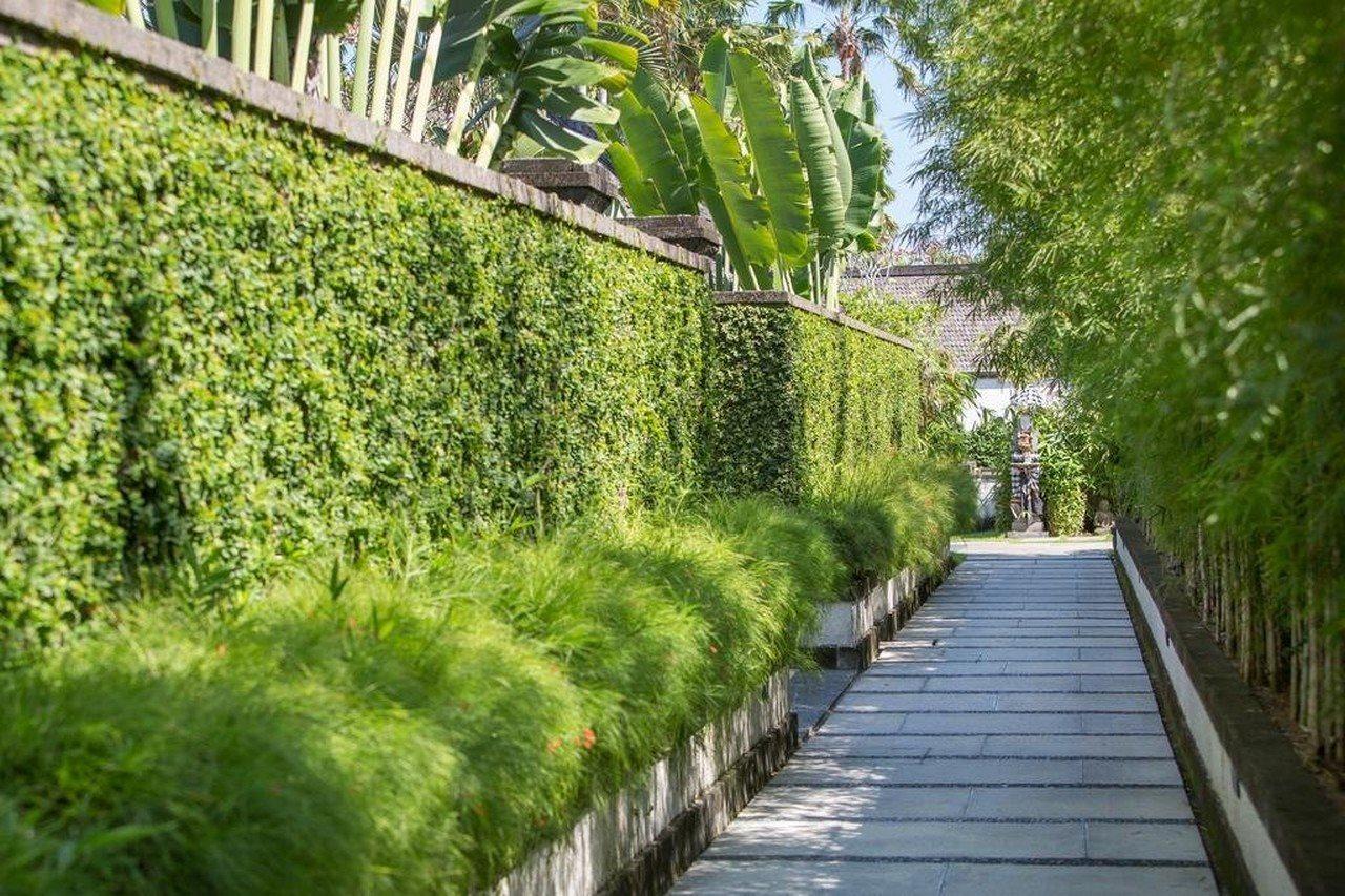 Villa Air Bali Boutique Resort And Spa Petitenget  Dış mekan fotoğraf